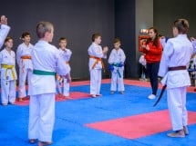 Concurs de Karate