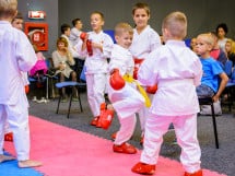 Concurs de Karate