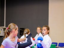 Concurs de Karate