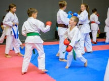 Concurs de Karate