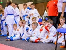 Concurs de Karate