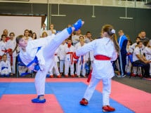 Concurs de Karate