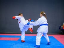 Concurs de Karate