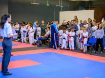 Concurs de Karate