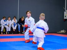 Concurs de Karate