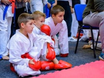 Concurs de Karate