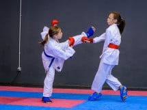 Concurs de Karate