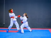 Concurs de Karate