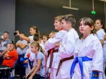 Concurs de Karate