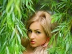 Corina