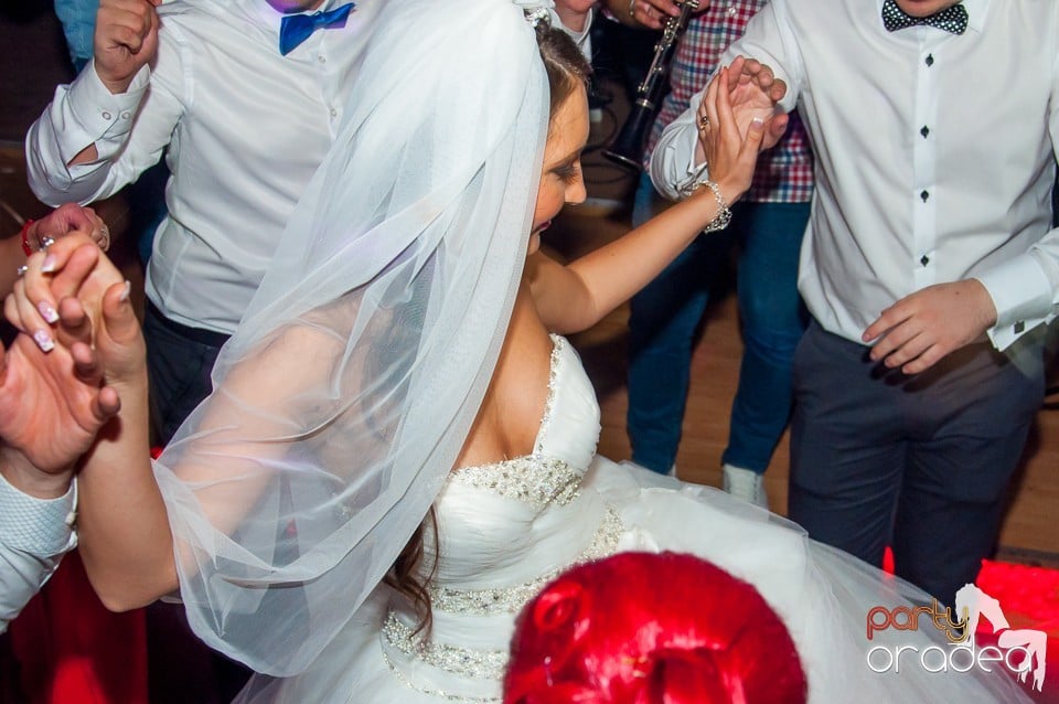 Costel Biju & Formatia, 