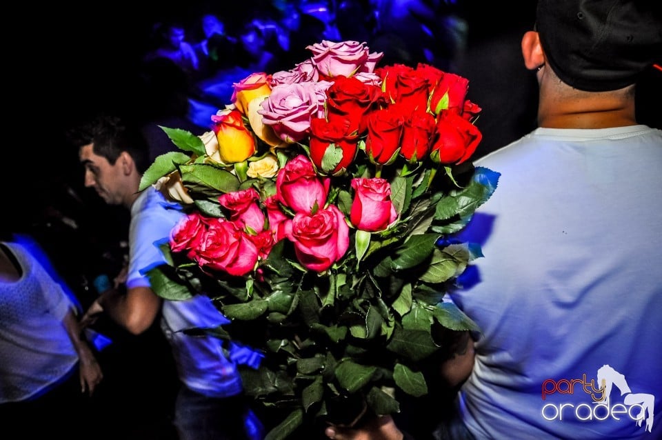 Crazy One Hour Free Holsten Party, 