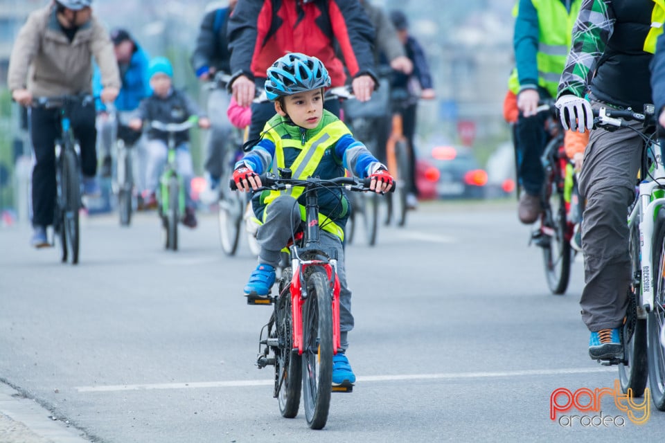 Critical Mass 2017, Oradea