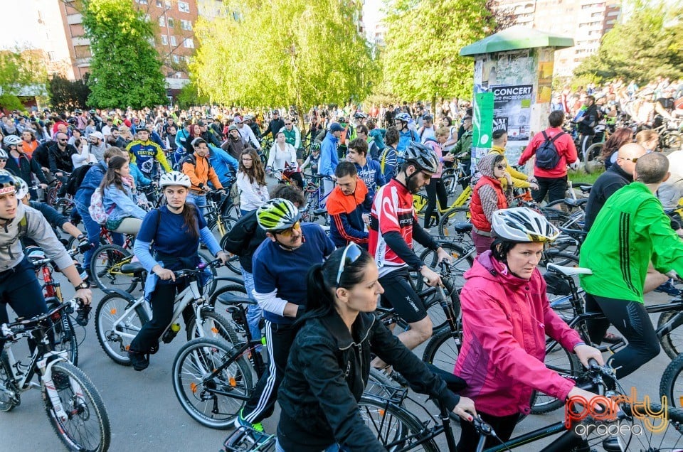 Critical Mass, Oradea