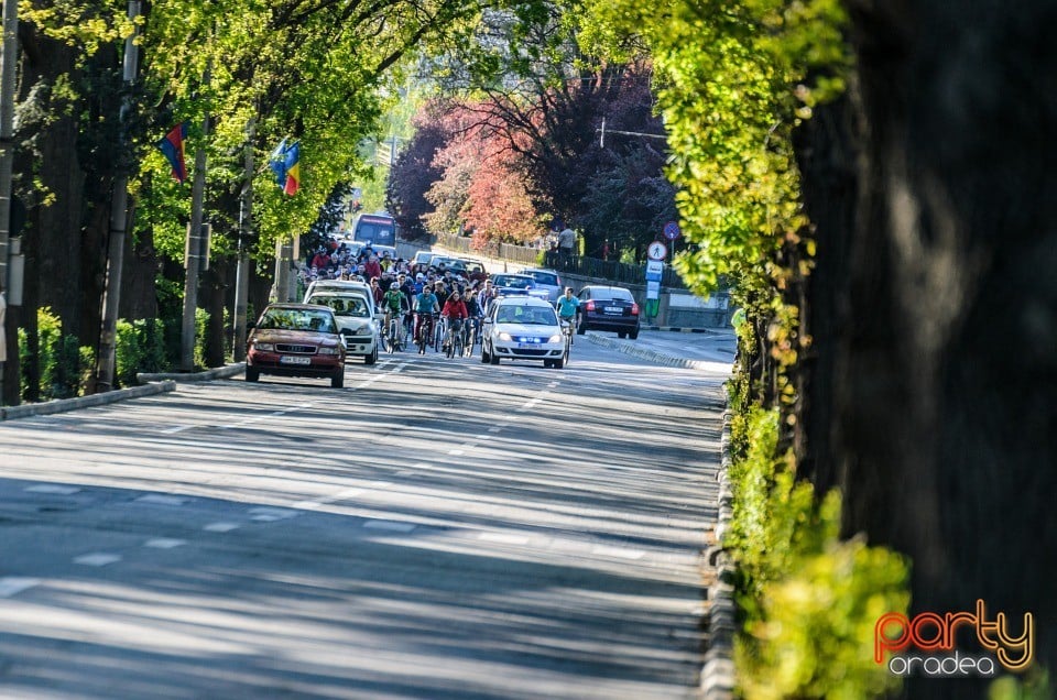 Critical Mass, Oradea