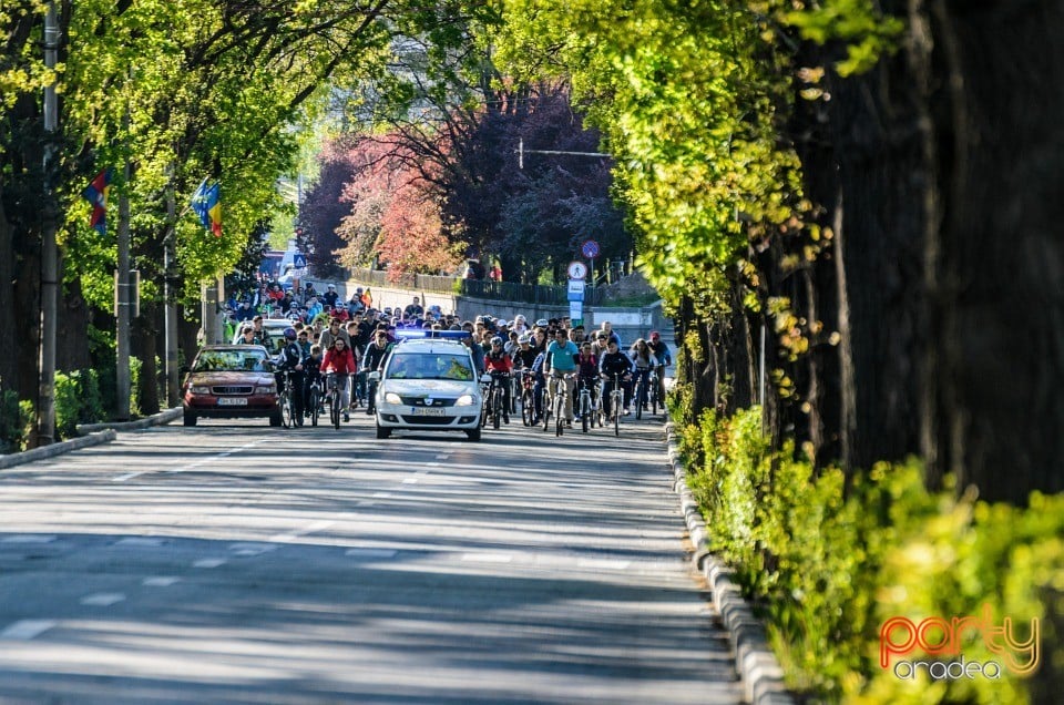 Critical Mass, Oradea