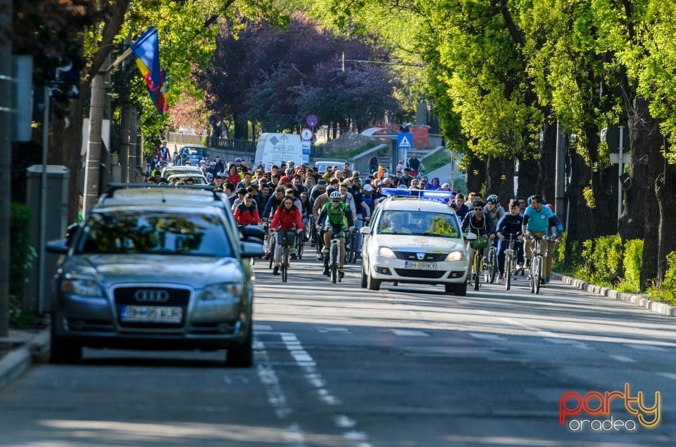 Critical Mass, Oradea