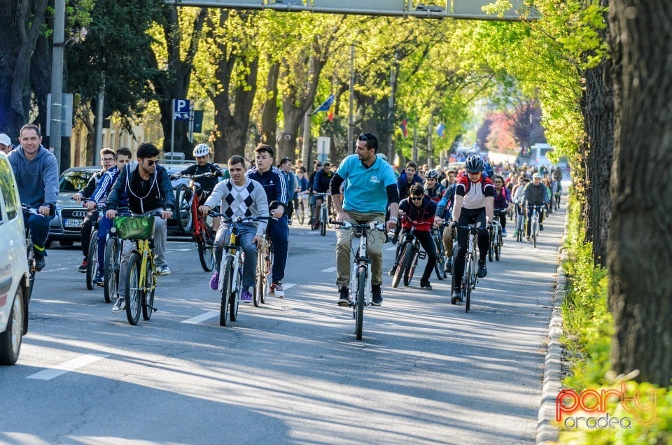 Critical Mass, Oradea