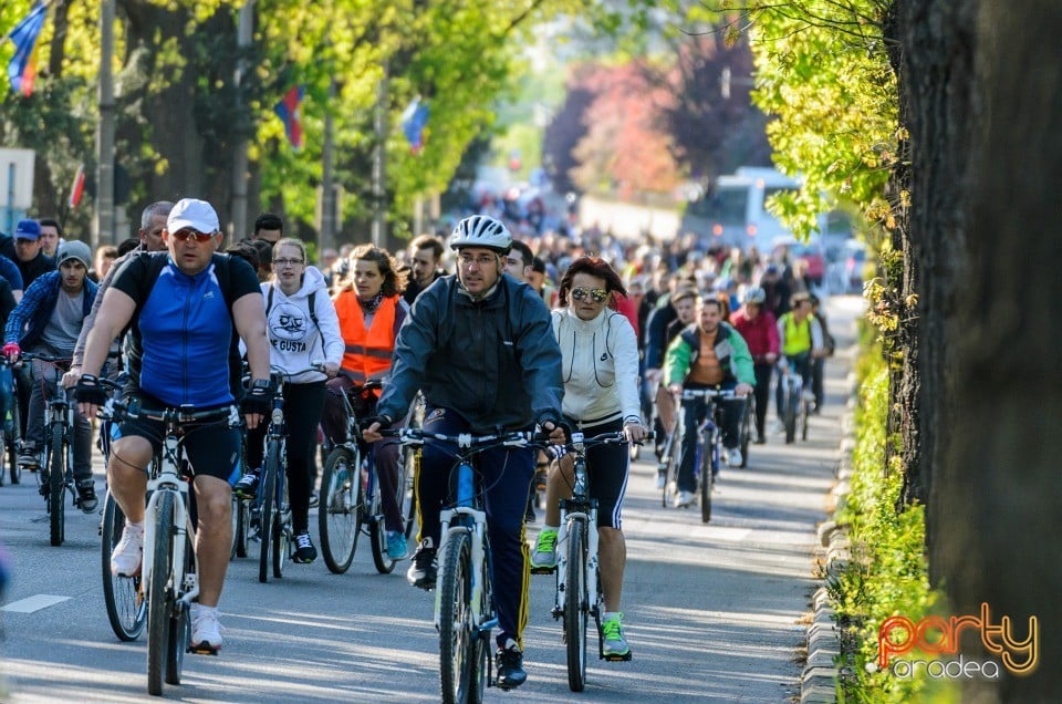 Critical Mass, Oradea