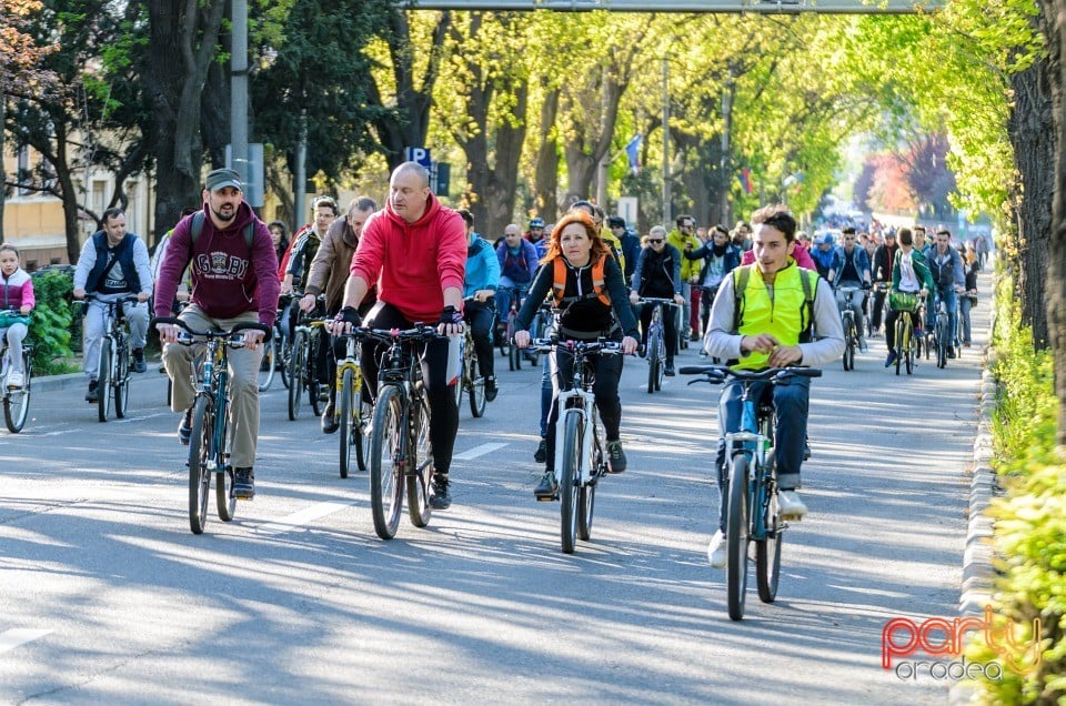 Critical Mass, Oradea