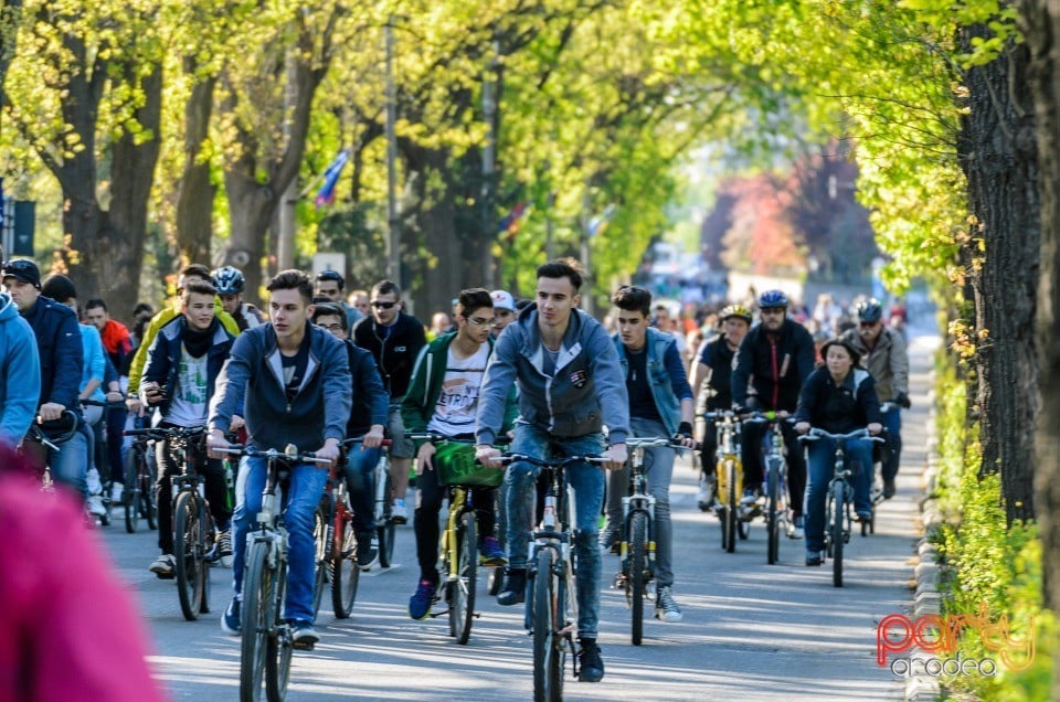 Critical Mass, Oradea