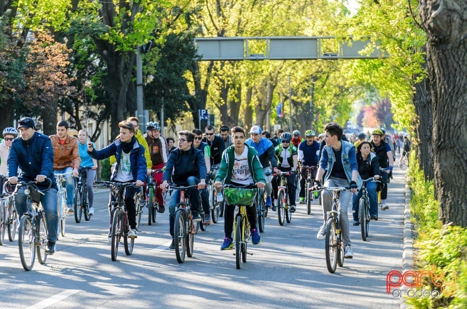 Critical Mass, Oradea