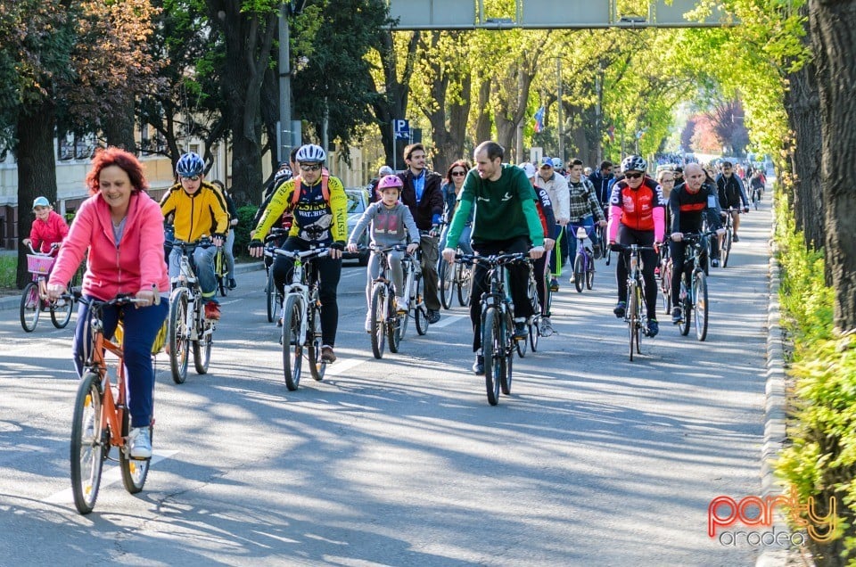 Critical Mass, Oradea