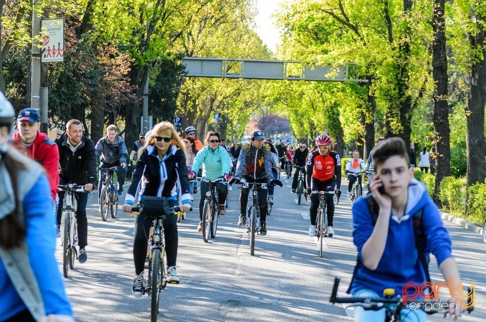 Critical Mass, Oradea