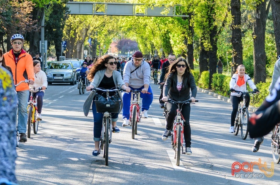 Critical Mass, Oradea