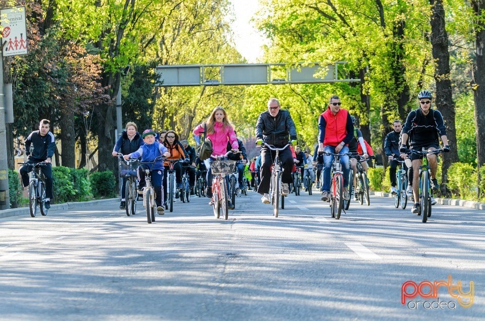 Critical Mass, Oradea