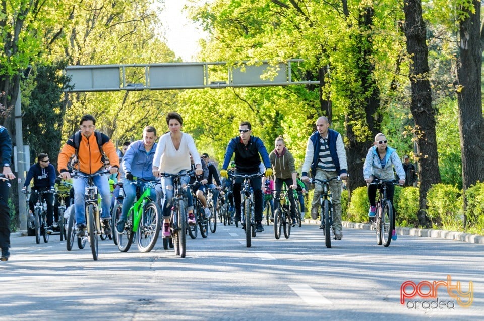 Critical Mass, Oradea