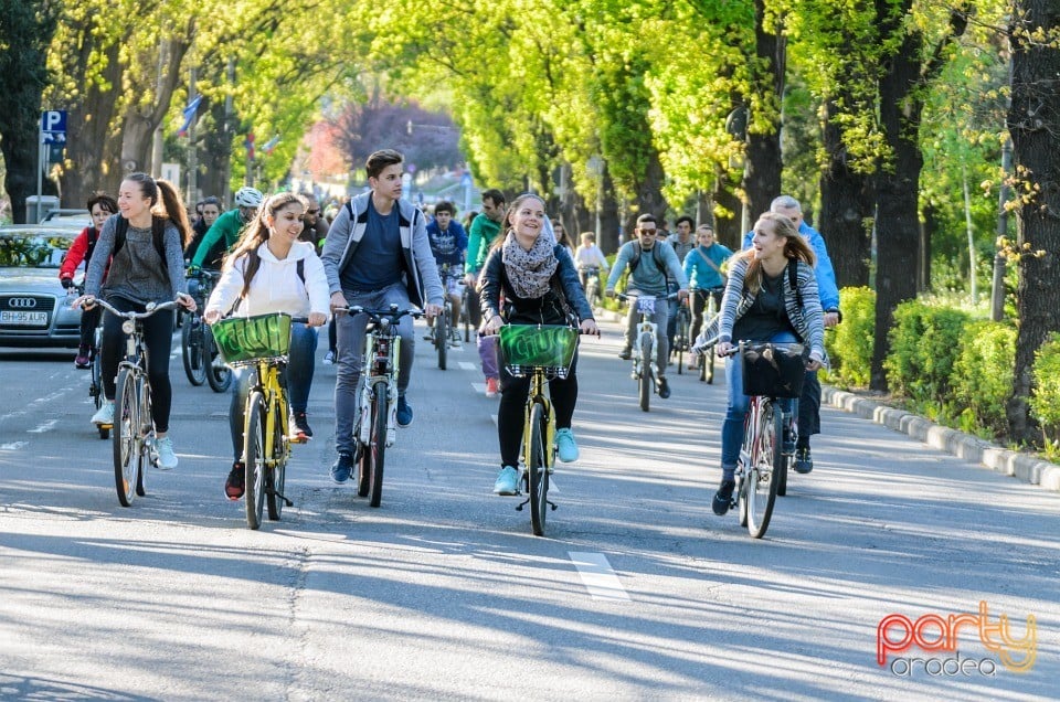 Critical Mass, Oradea