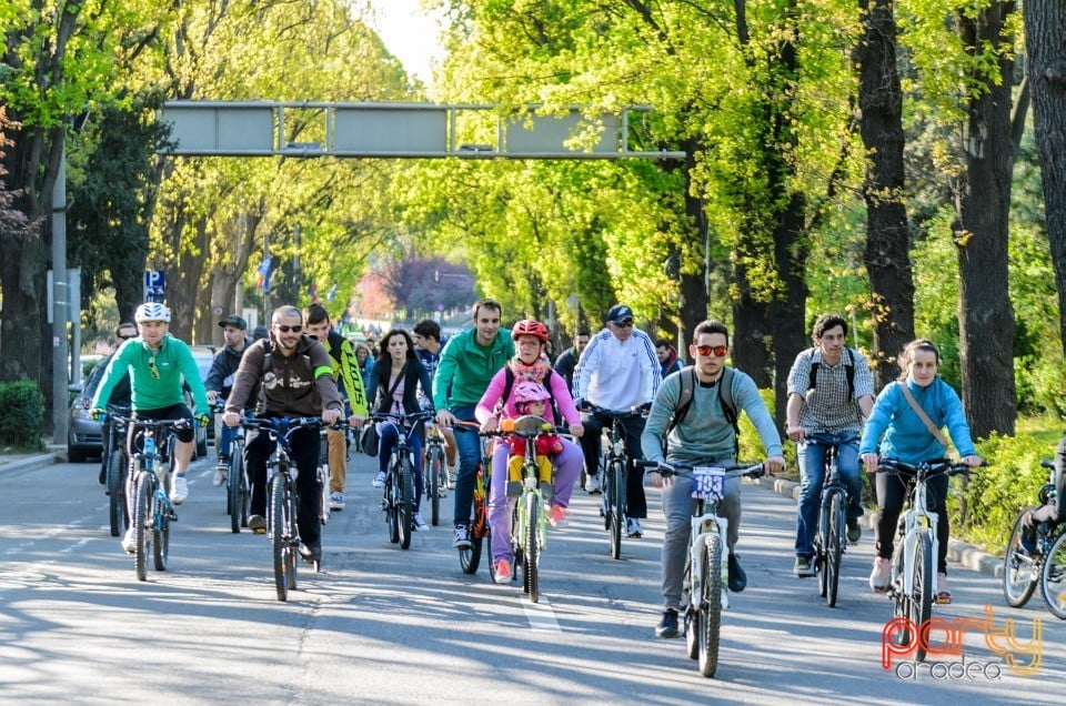 Critical Mass, Oradea