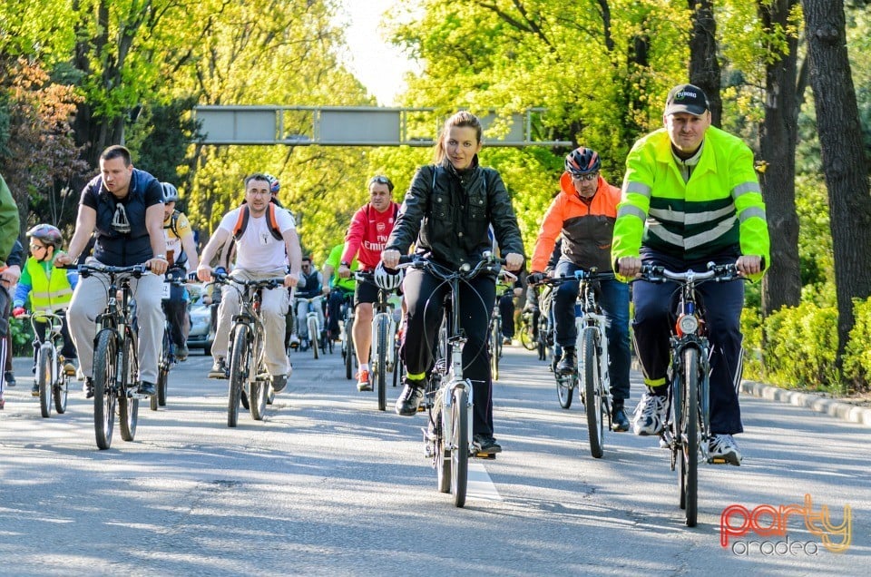 Critical Mass, Oradea