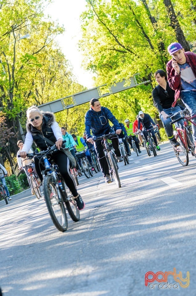 Critical Mass, Oradea