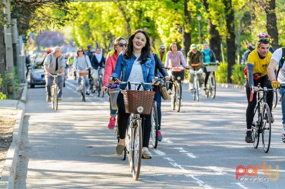 Critical Mass, Oradea