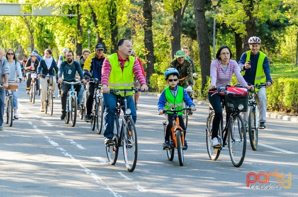 Critical Mass, Oradea