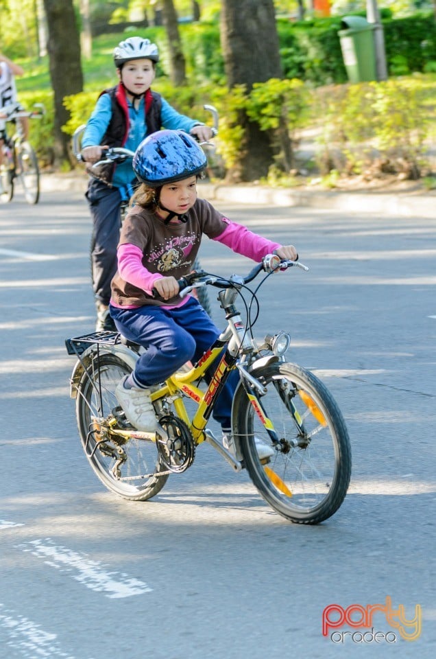 Critical Mass, Oradea