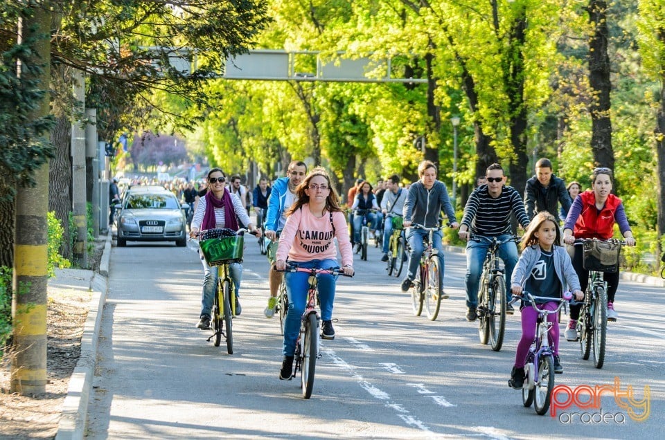 Critical Mass, Oradea