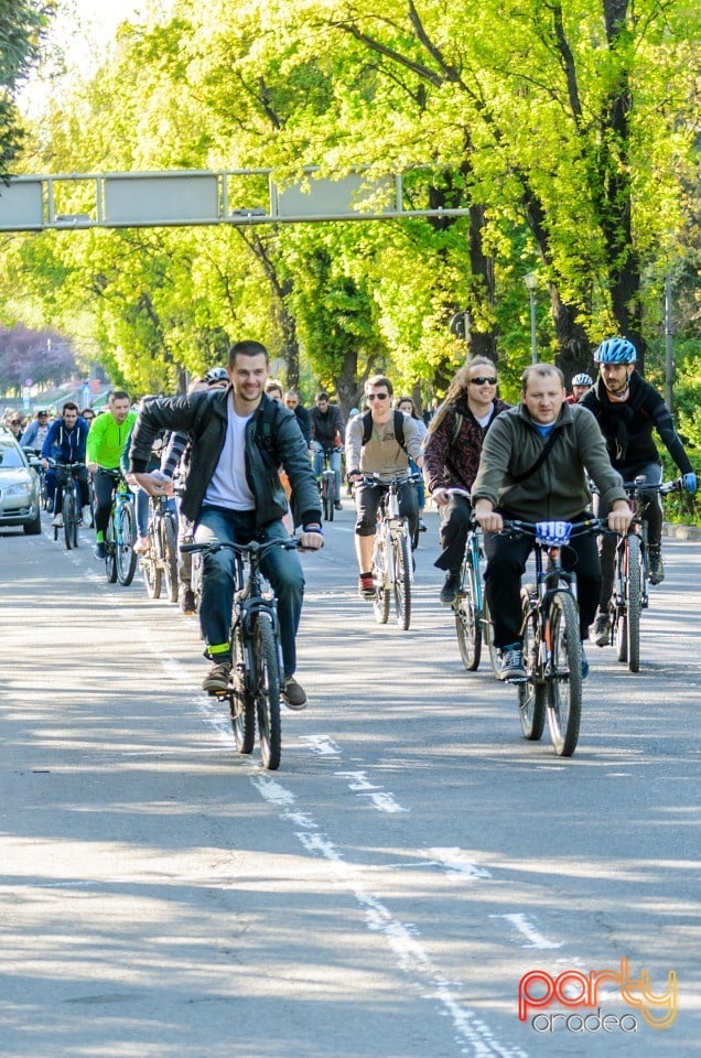 Critical Mass, Oradea