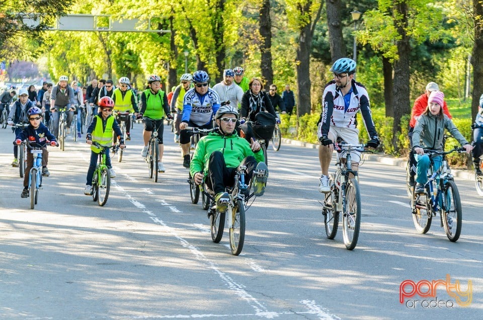 Critical Mass, Oradea