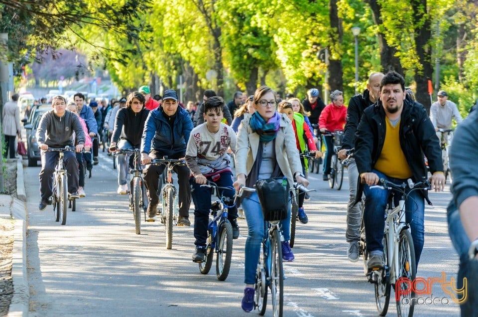 Critical Mass, Oradea