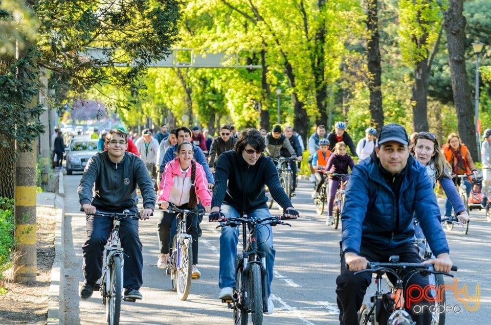 Critical Mass, Oradea