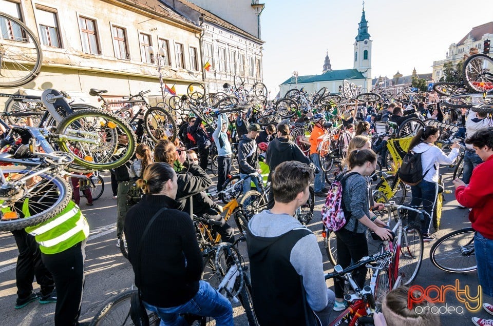 Critical Mass, Oradea