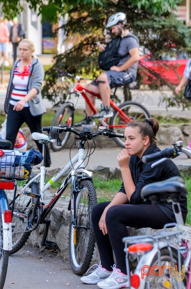 Critical Mass, Oradea