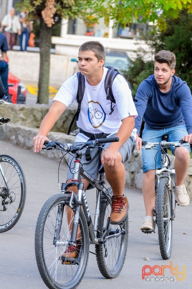 Critical Mass, Oradea