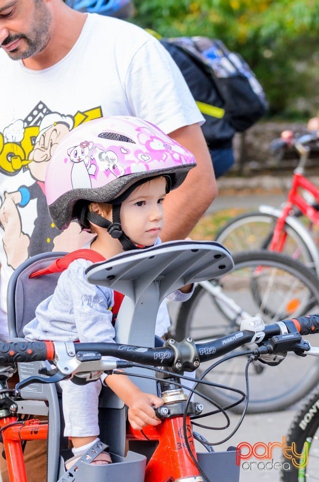 Critical Mass, Oradea