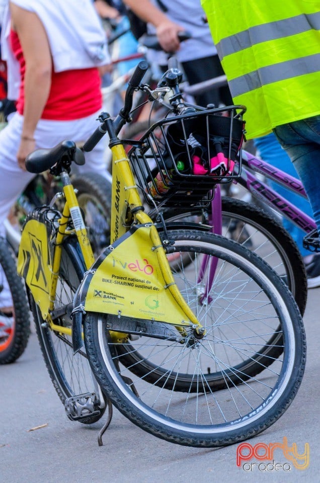 Critical Mass, Oradea