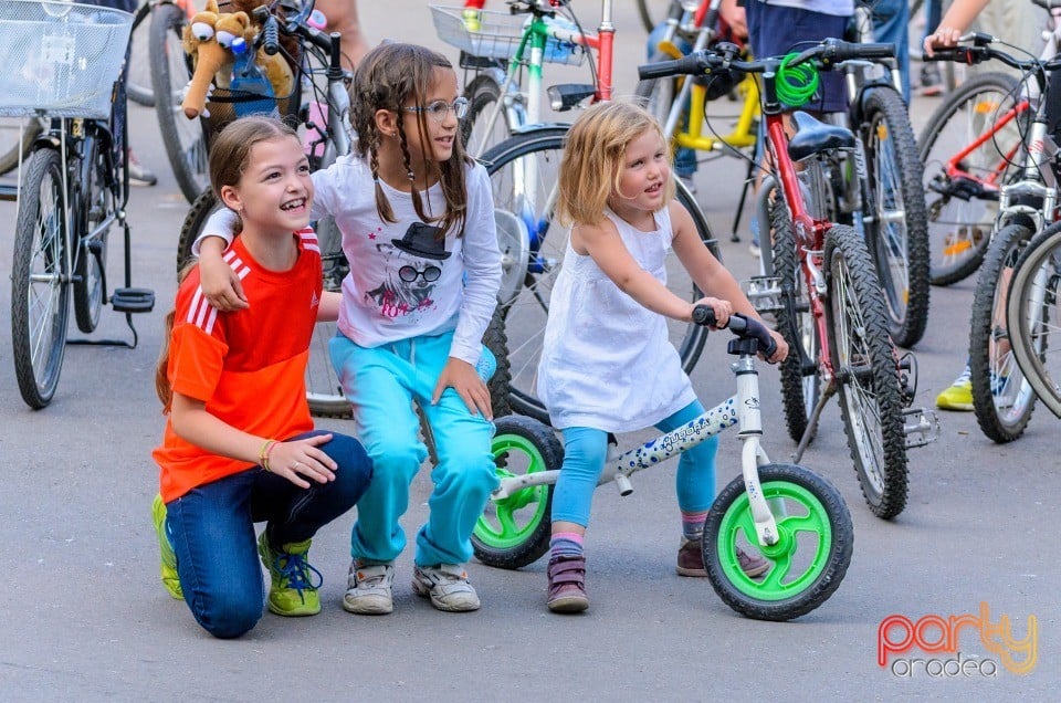 Critical Mass, Oradea