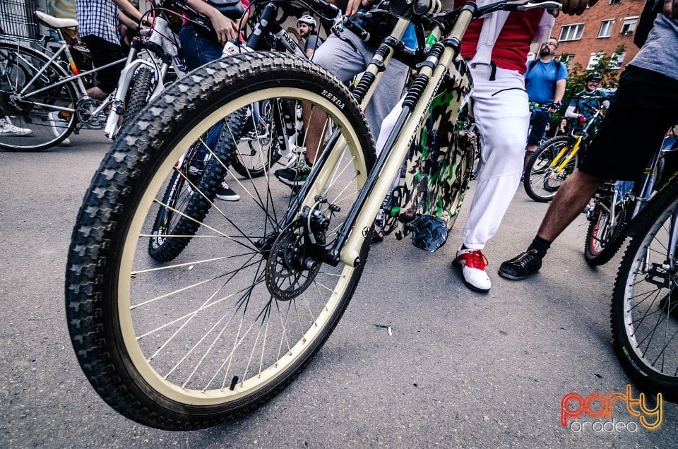 Critical Mass, Oradea